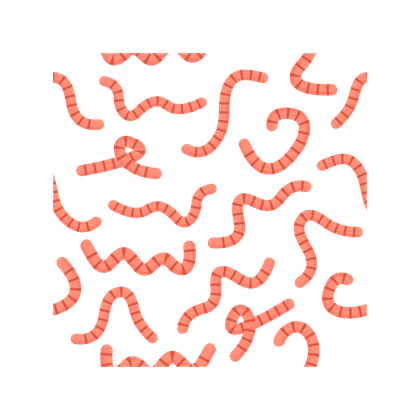 Helminthiasis (zakażenie robakami)
