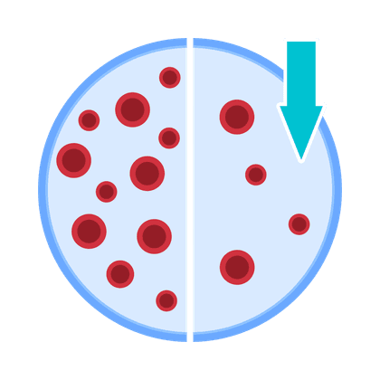 Anemia (carenza di ferro)